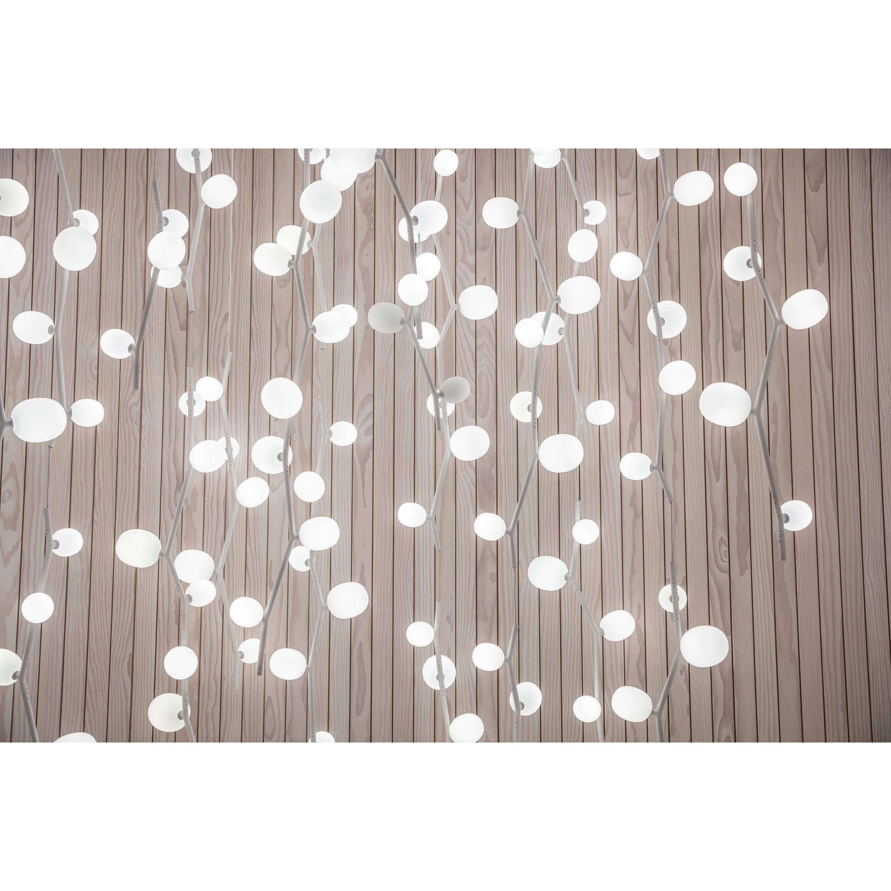 Isolora Vertikal Glas Pendelleuchte-Letslighting