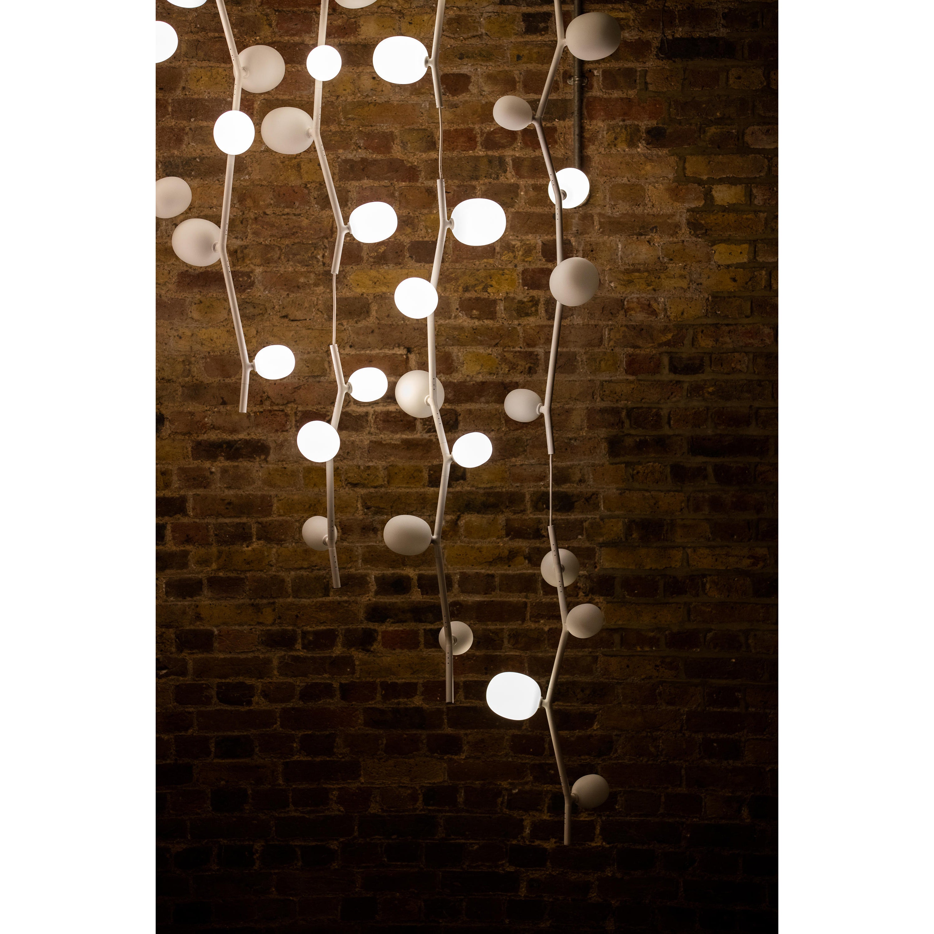 Isolora Vertikal Glas Pendelleuchte-Letslighting