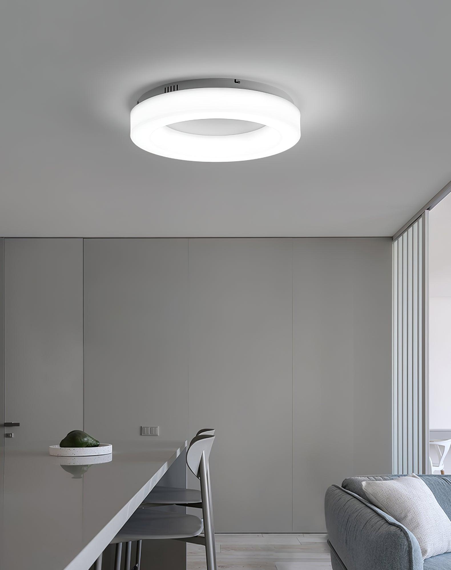 Erraeiel Moderne Minimalistische Kunst Deckenleuchte-Letslighting