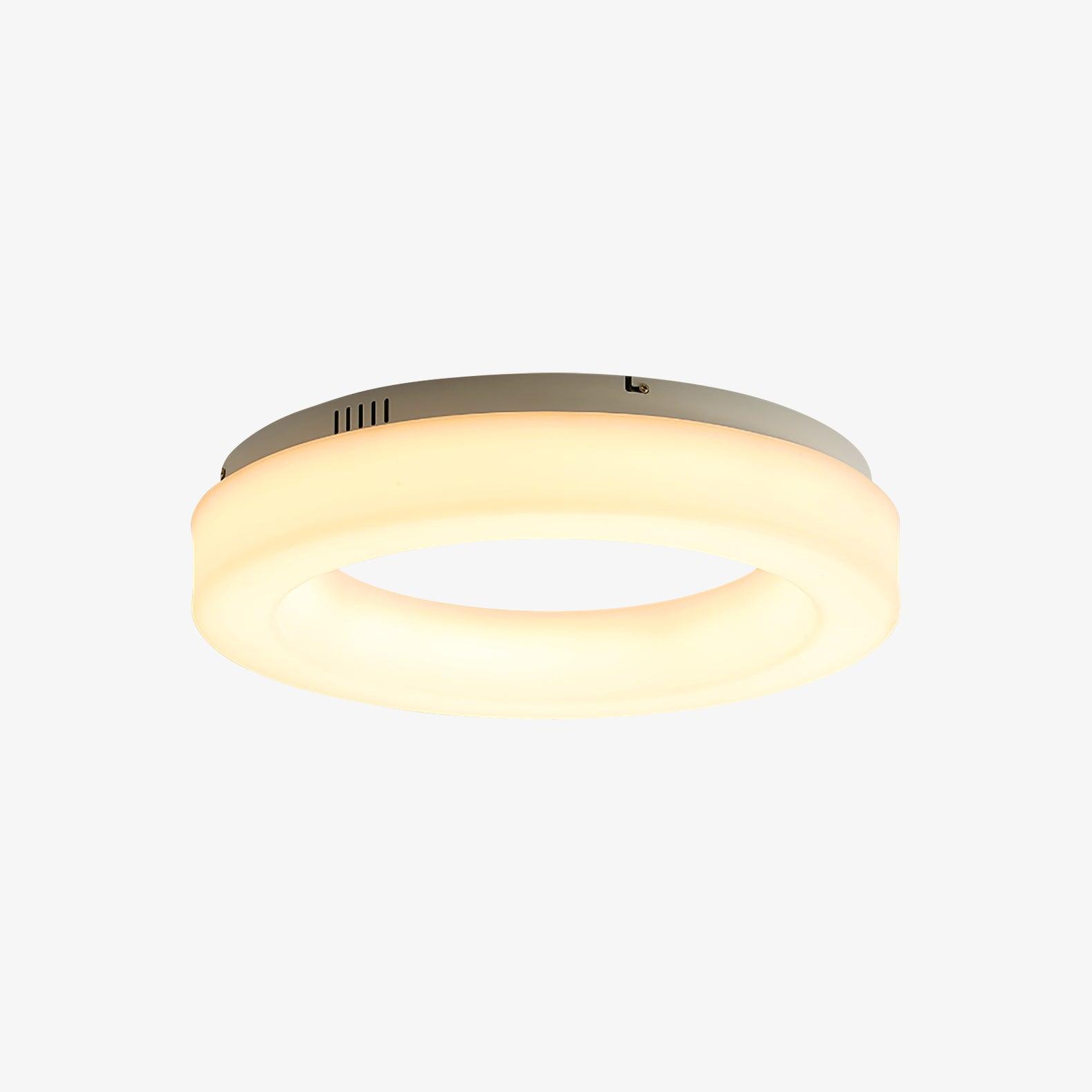 Erraeiel Moderne Minimalistische Kunst Deckenleuchte-Letslighting
