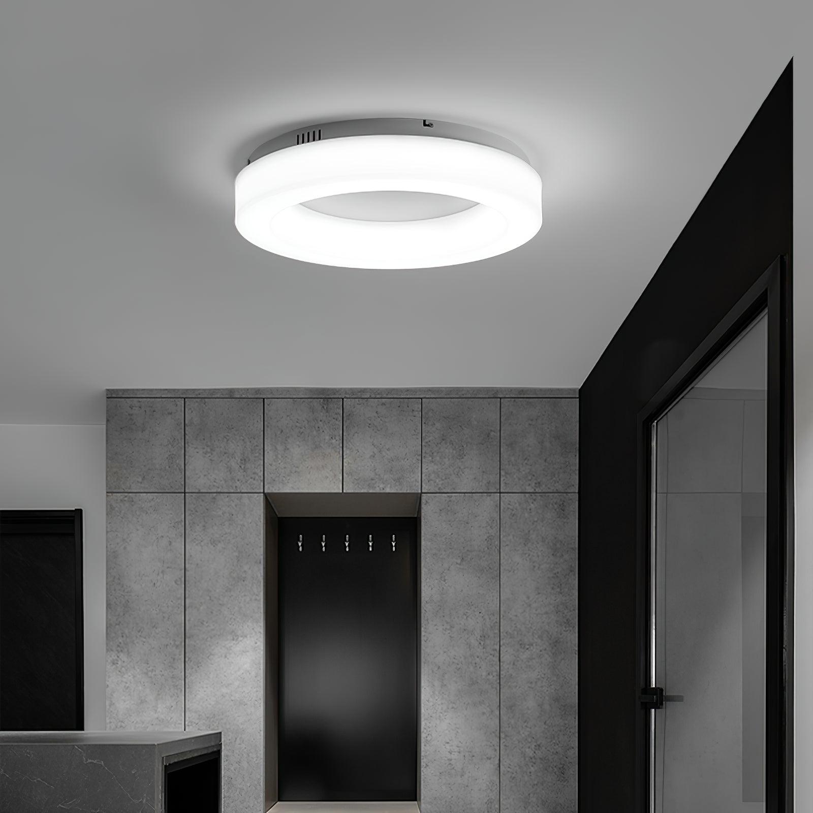 Erraeiel Moderne Minimalistische Kunst Deckenleuchte-Letslighting