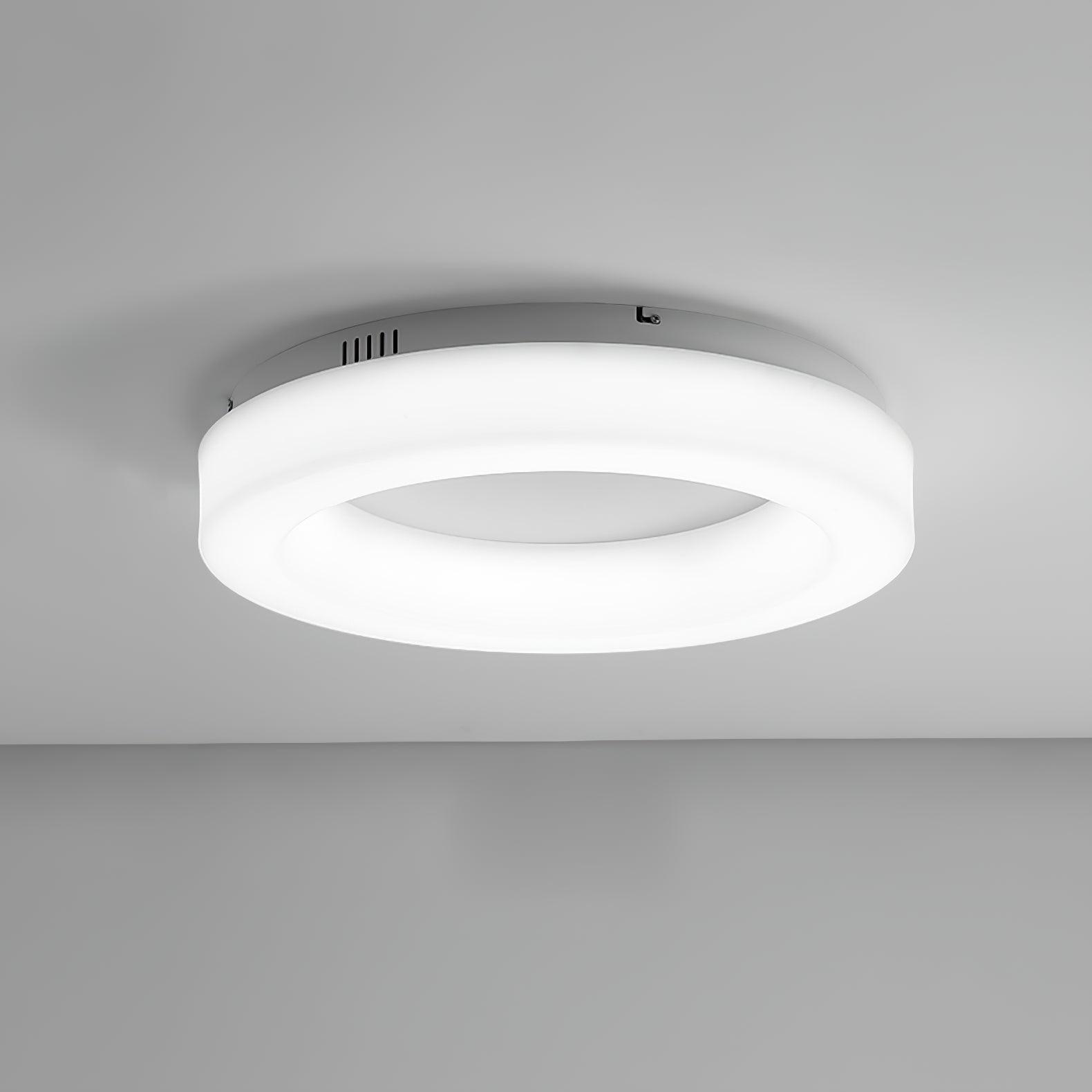 Erraeiel Moderne Minimalistische Kunst Deckenleuchte-Letslighting