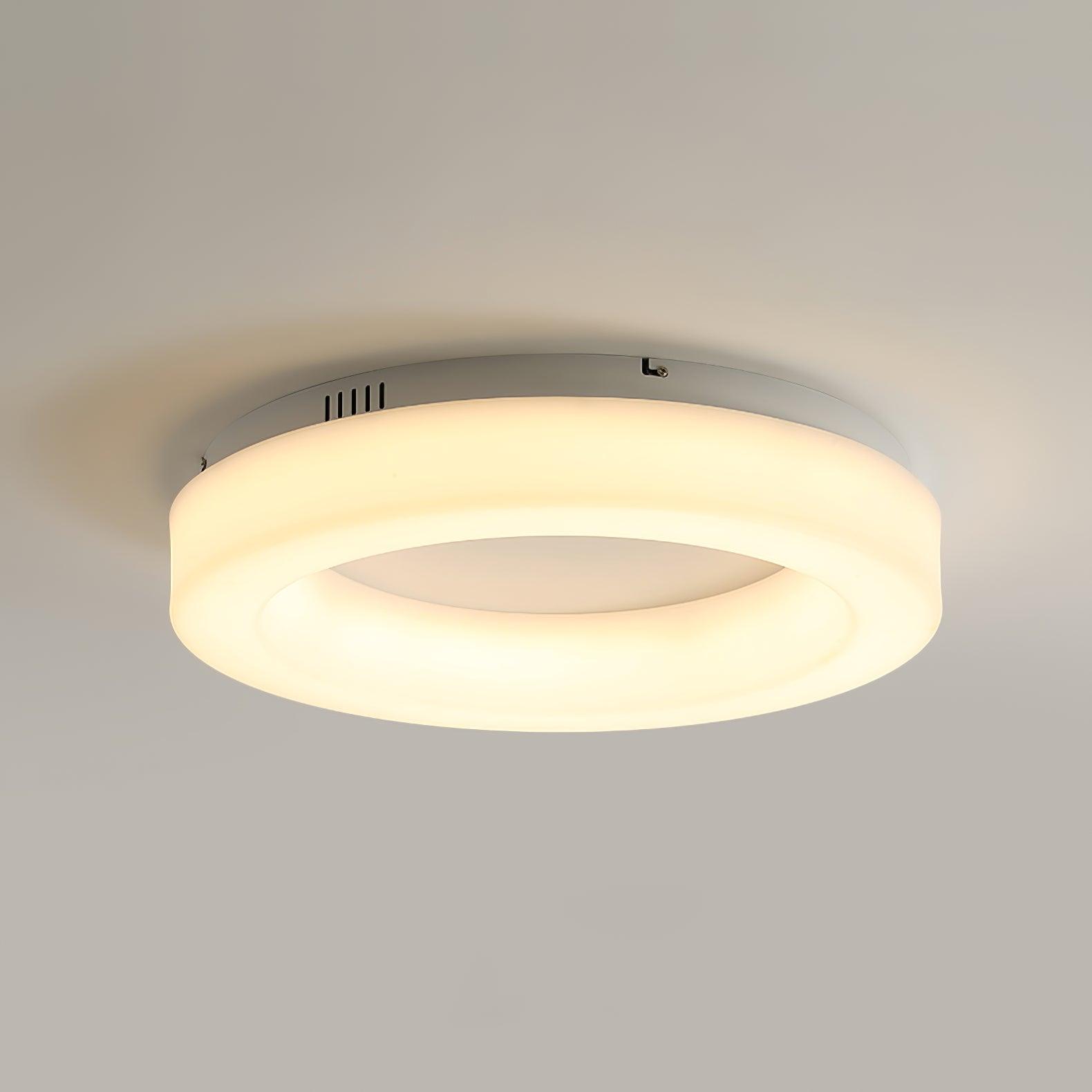 Erraeiel Moderne Minimalistische Kunst Deckenleuchte-Letslighting
