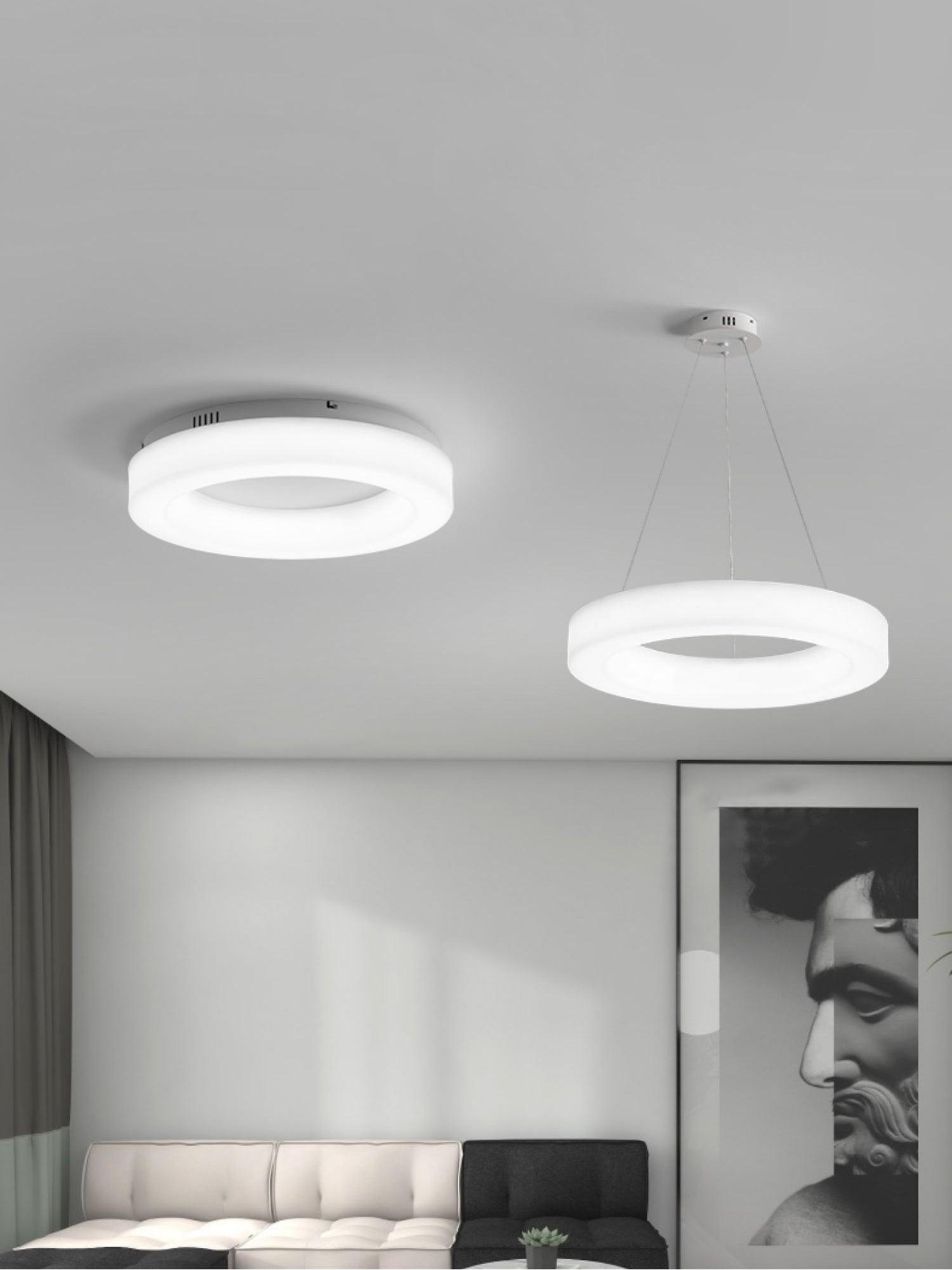 Erraeiel Moderne Minimalistische Kunst Deckenleuchte-Letslighting