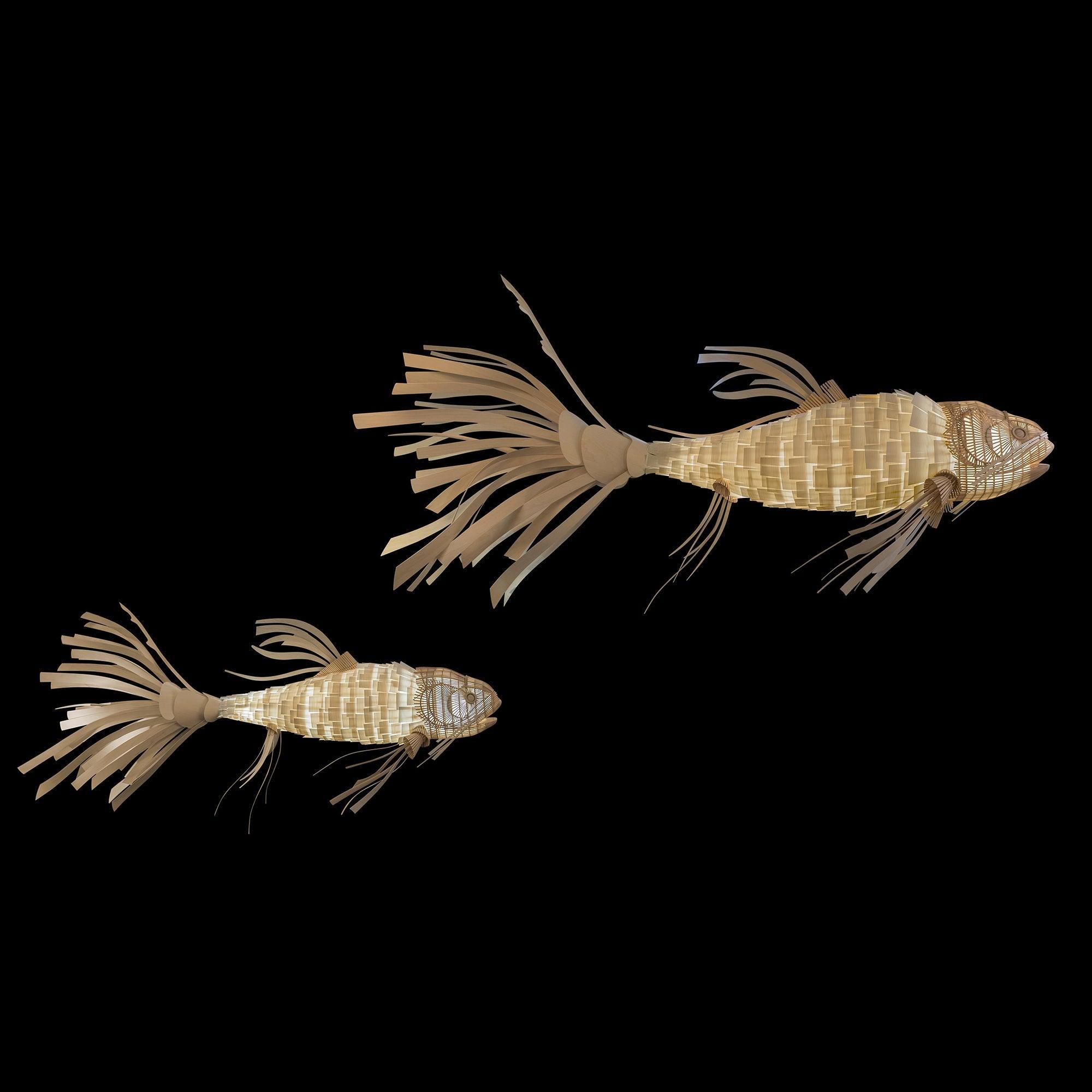 Koi Chandelier - Blowlighting