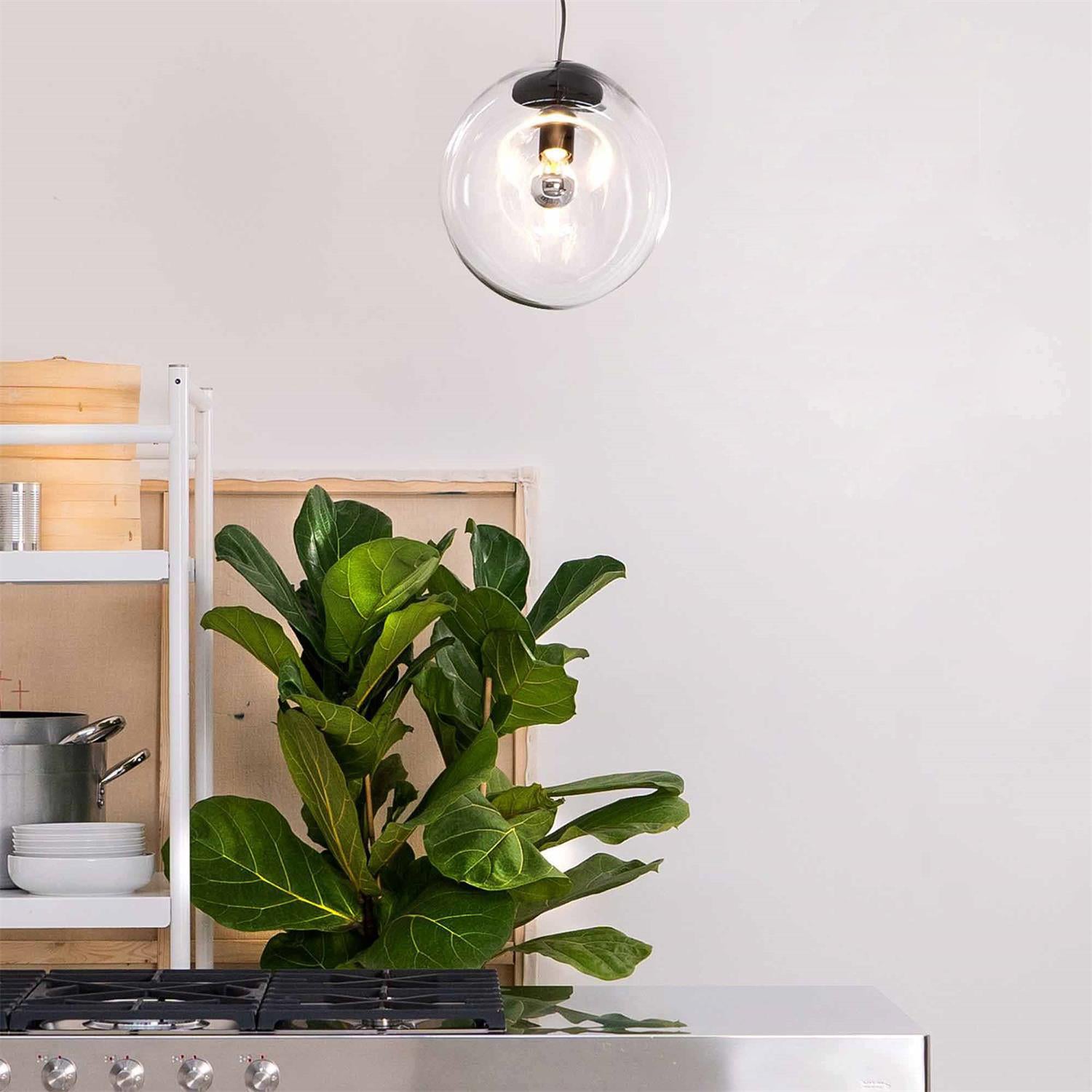 Lymara Schwarz Glas Pendelleuchte-Letslighting