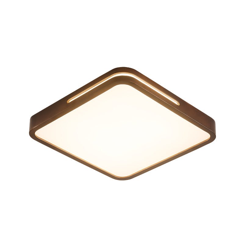Vizoros Modern Minimalistisch Deckenleuchte-Letslighting