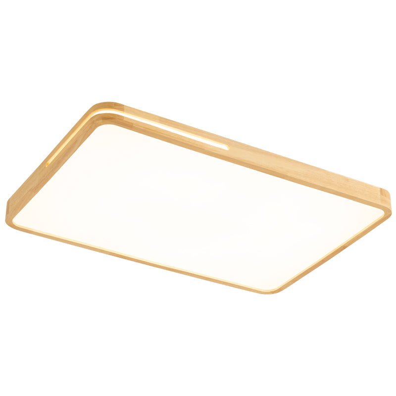 Vizoros Modern Minimalistisch Deckenleuchte-Letslighting