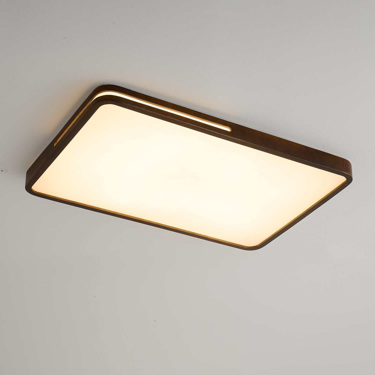 Vizoros Modern Minimalistisch Deckenleuchte-Letslighting