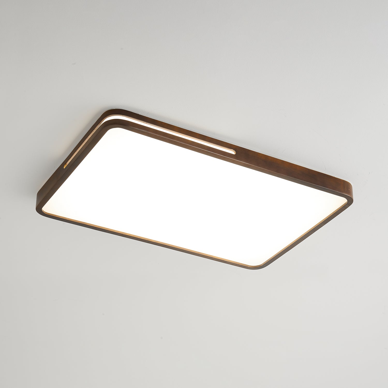 Vizoros Modern Minimalistisch Deckenleuchte-Letslighting