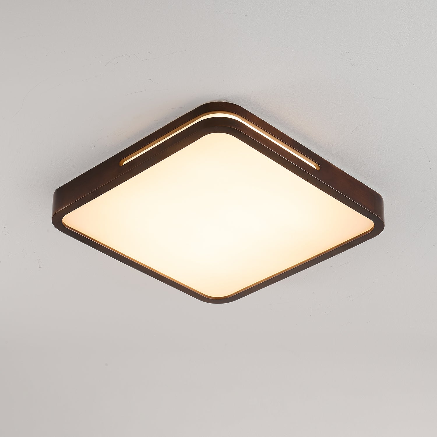 Vizoros Modern Minimalistisch Deckenleuchte-Letslighting