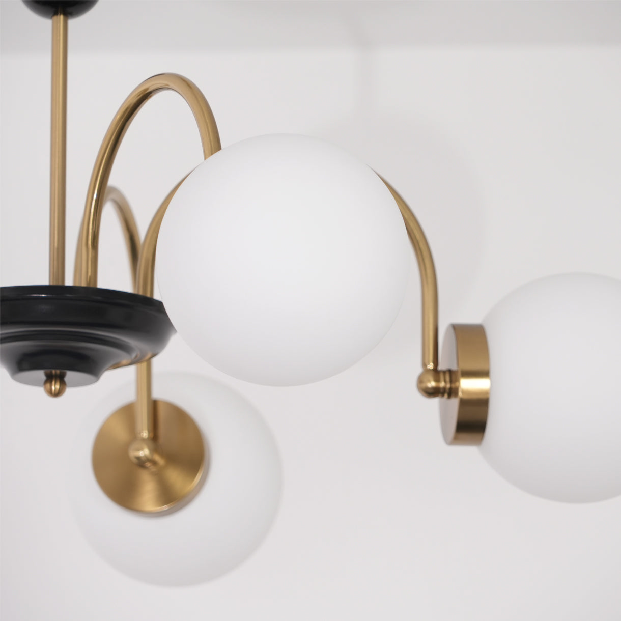 Kronleuchter Gekrümmt Arme Globus Schirme Modern Retro Stil Essen-Letslighting
