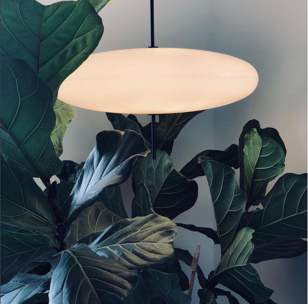 Lustra Pendelleuchte Lampe Verbunden Schwarz lackiert für Wohn Zimmer-Letslighting