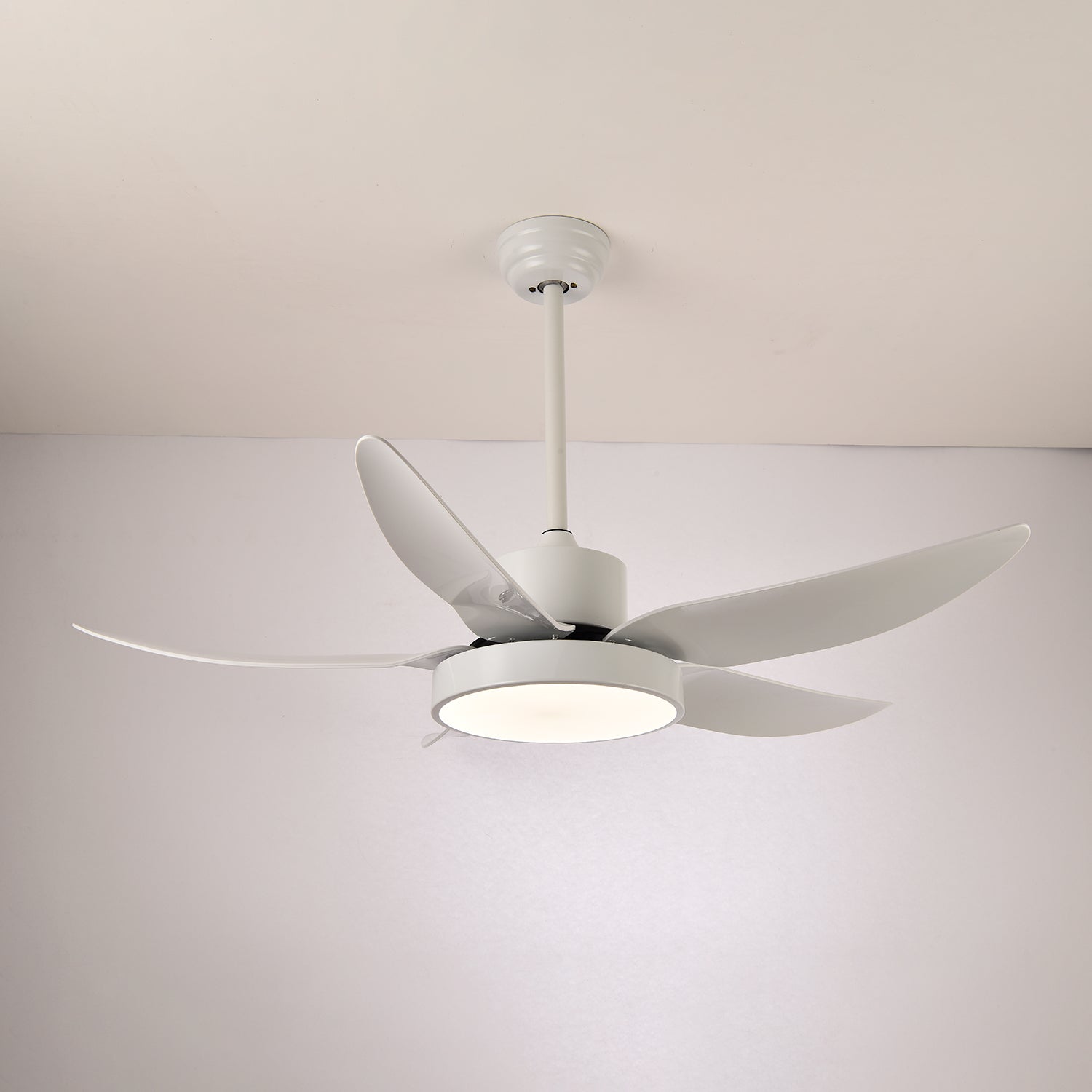 Auron Moderne Deckenventilatorleuchte in Schwarz