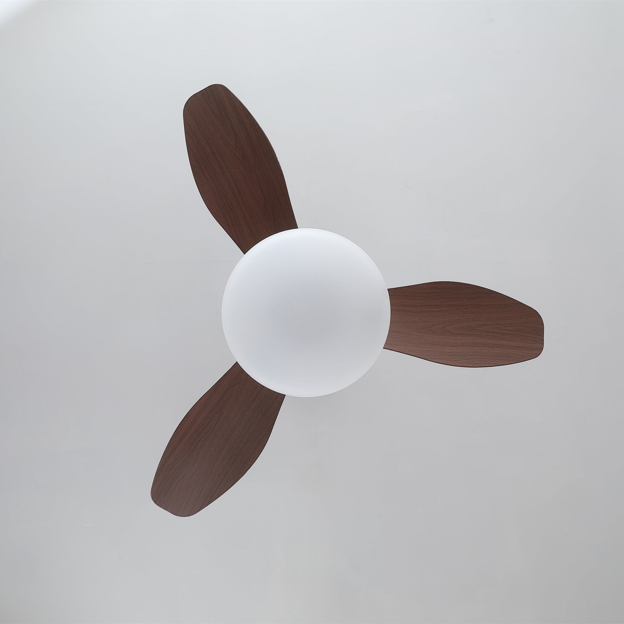 Sylvara Deckenventilatorleuchte mit festverdrahteter Installation