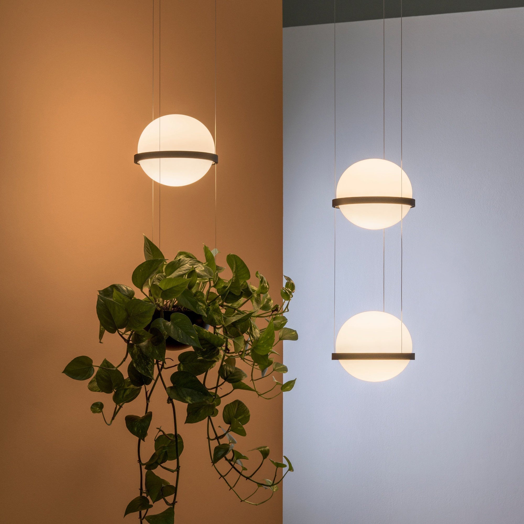 Xenith Zeitgenössisch Pendelleuchte-Letslighting