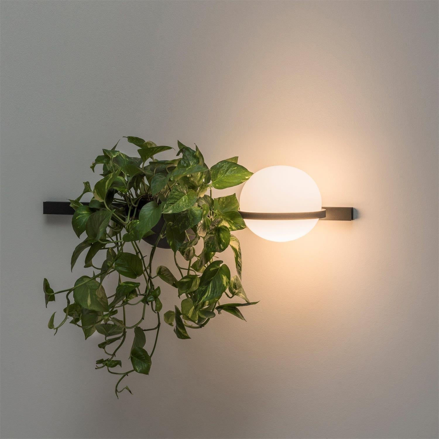 Olthaarae Moderne Wandleuchte aus Kunststoff-Letslighting