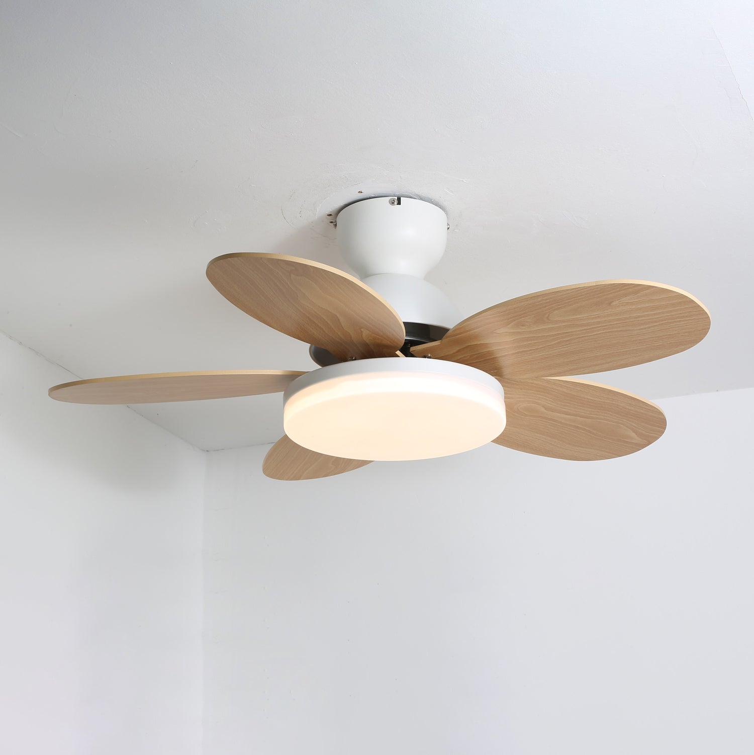 Liora Deckenventilator mit Beleuchtung in Gehäuseausführung Schwarz