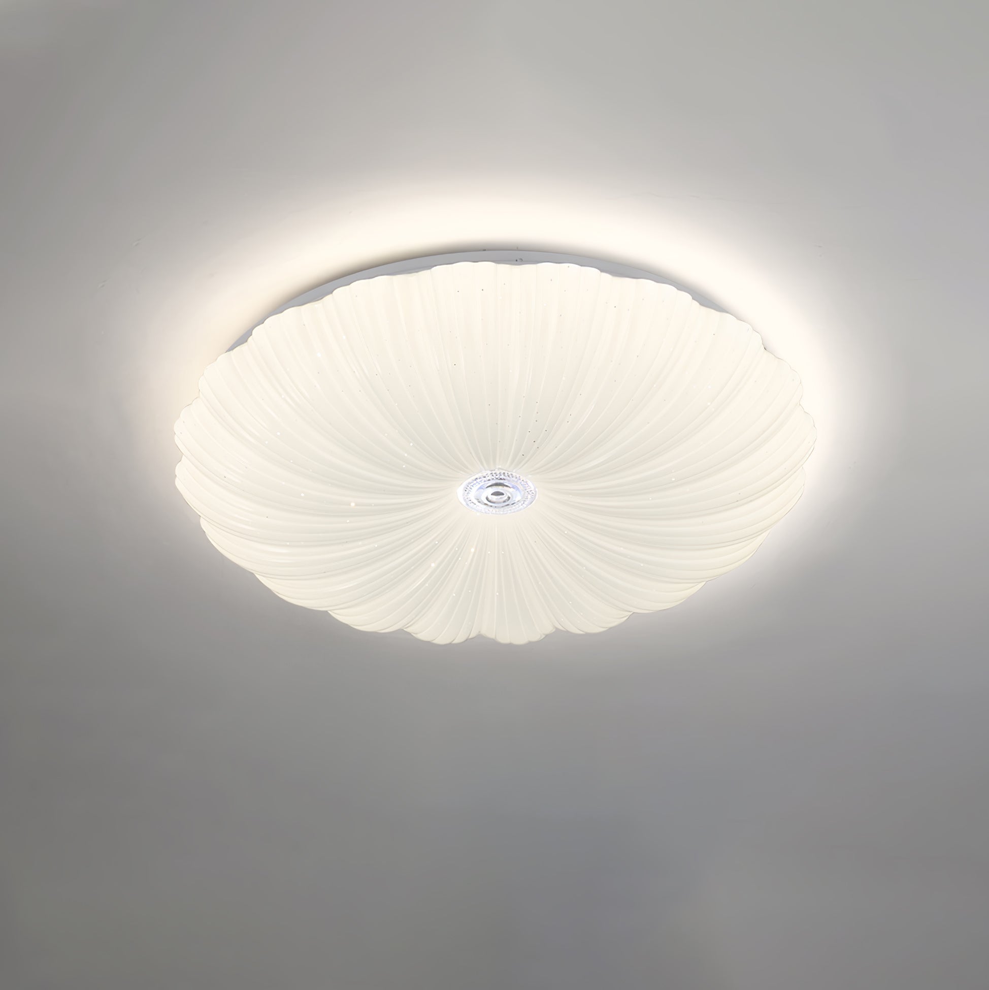 Coloria Nordisch Kunst Muschel Rund Deckenleuchte-Letslighting