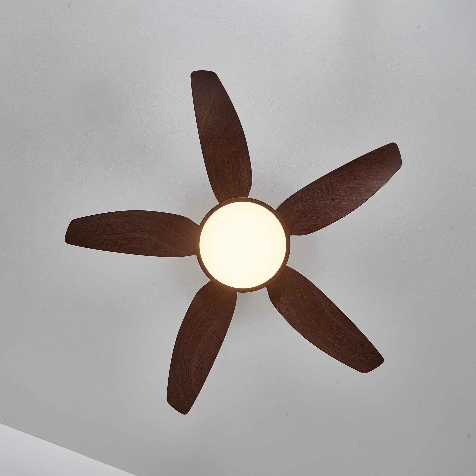 Anderer Blickwinkel des Aurelia Deckenventilators mit Beleuchtung.