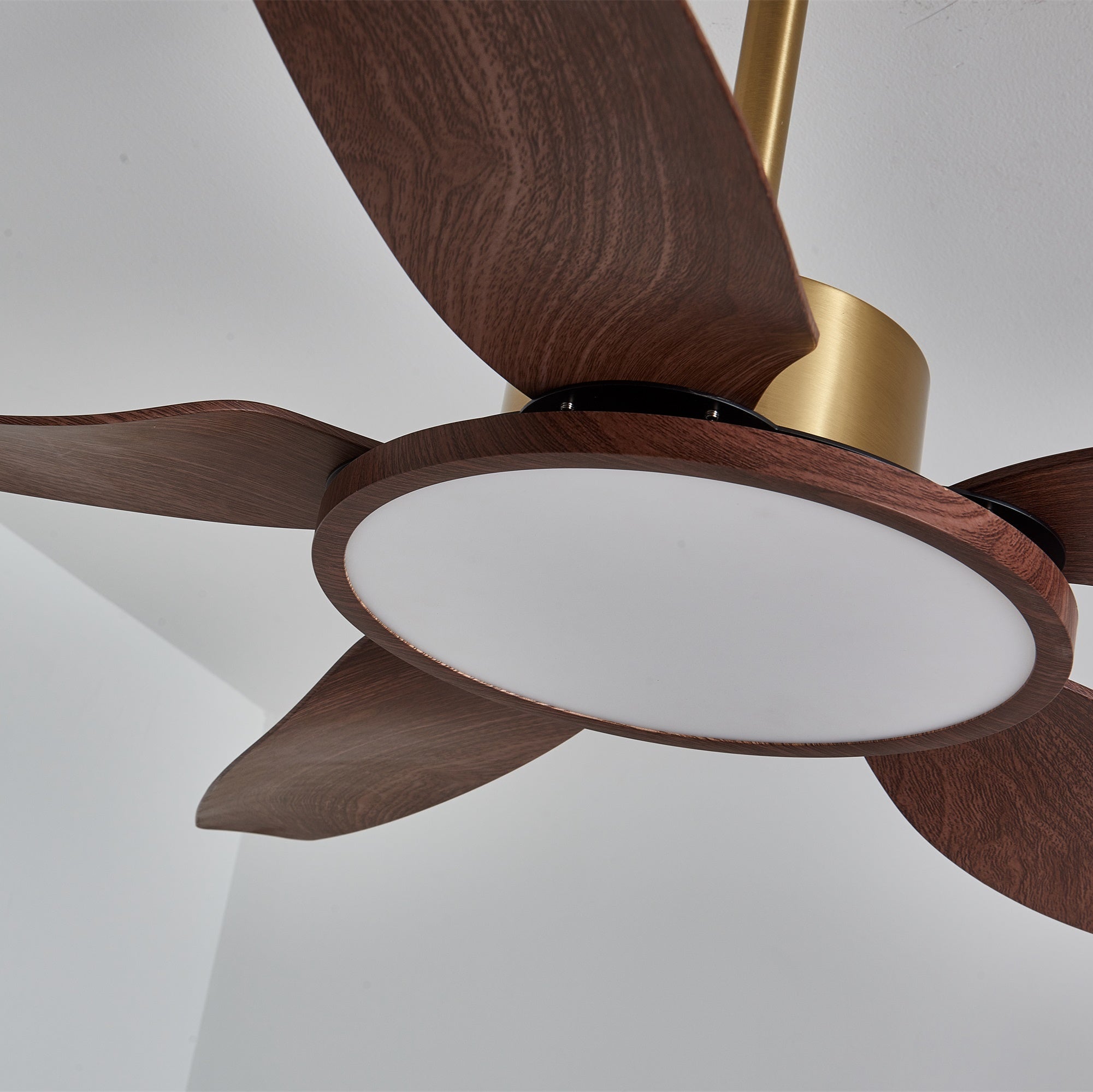 Der Deckenventilator mit Beleuchtung in Betrieb, erzeugt Luftstrom.