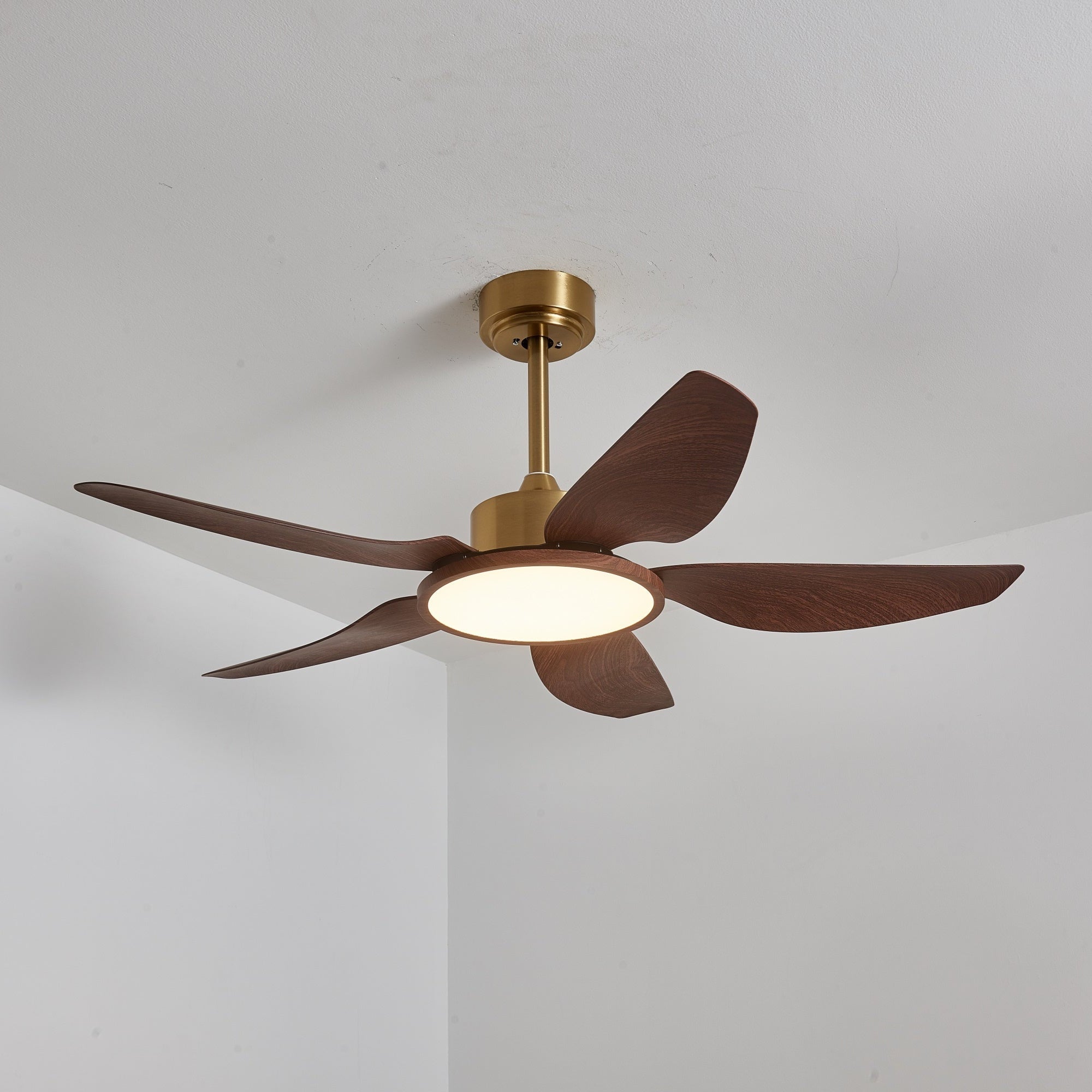 Nahaufnahme der integrierten LED-Beleuchtung am Aurelia Ventilator.