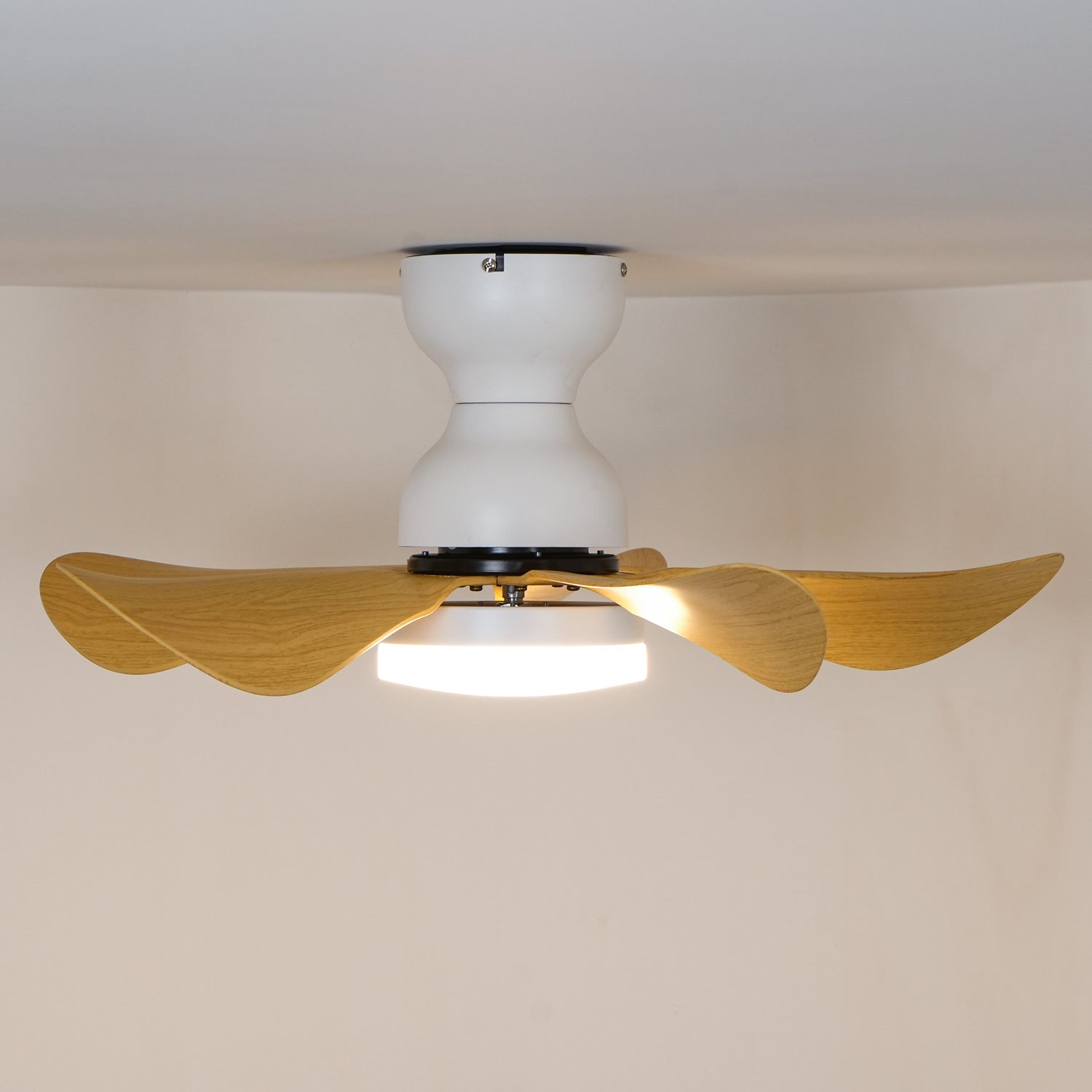 Callen Holz Deckenventilatorleuchte, Schwarze Ausführung
