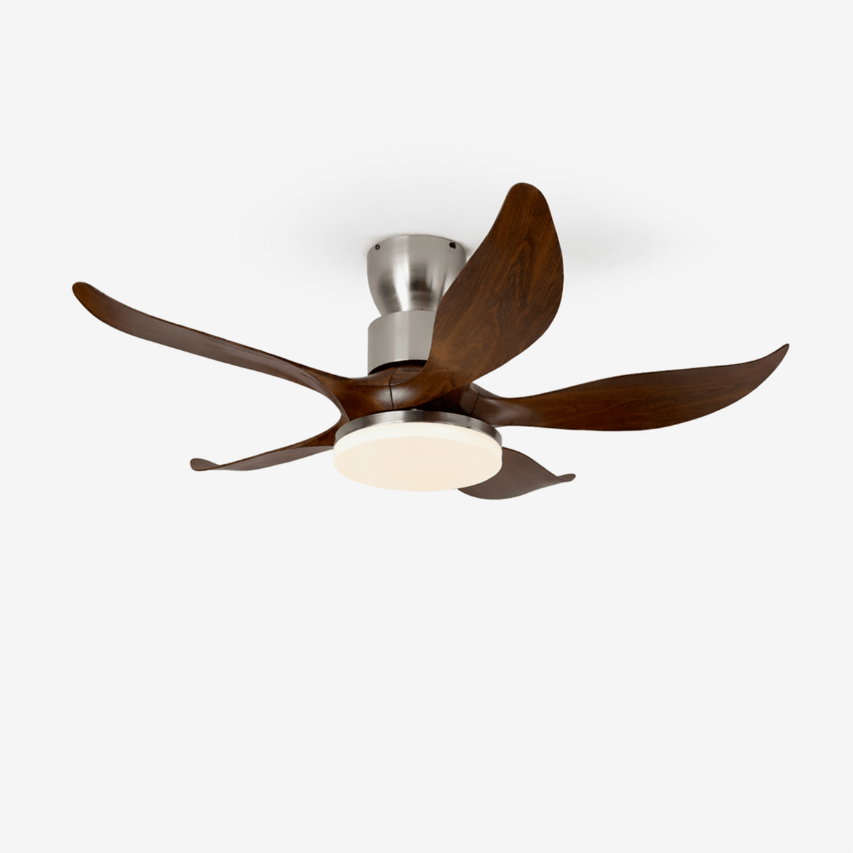 Celia Deckenventilator mit 5 Flügeln und Licht in Walnuss-Ausführung