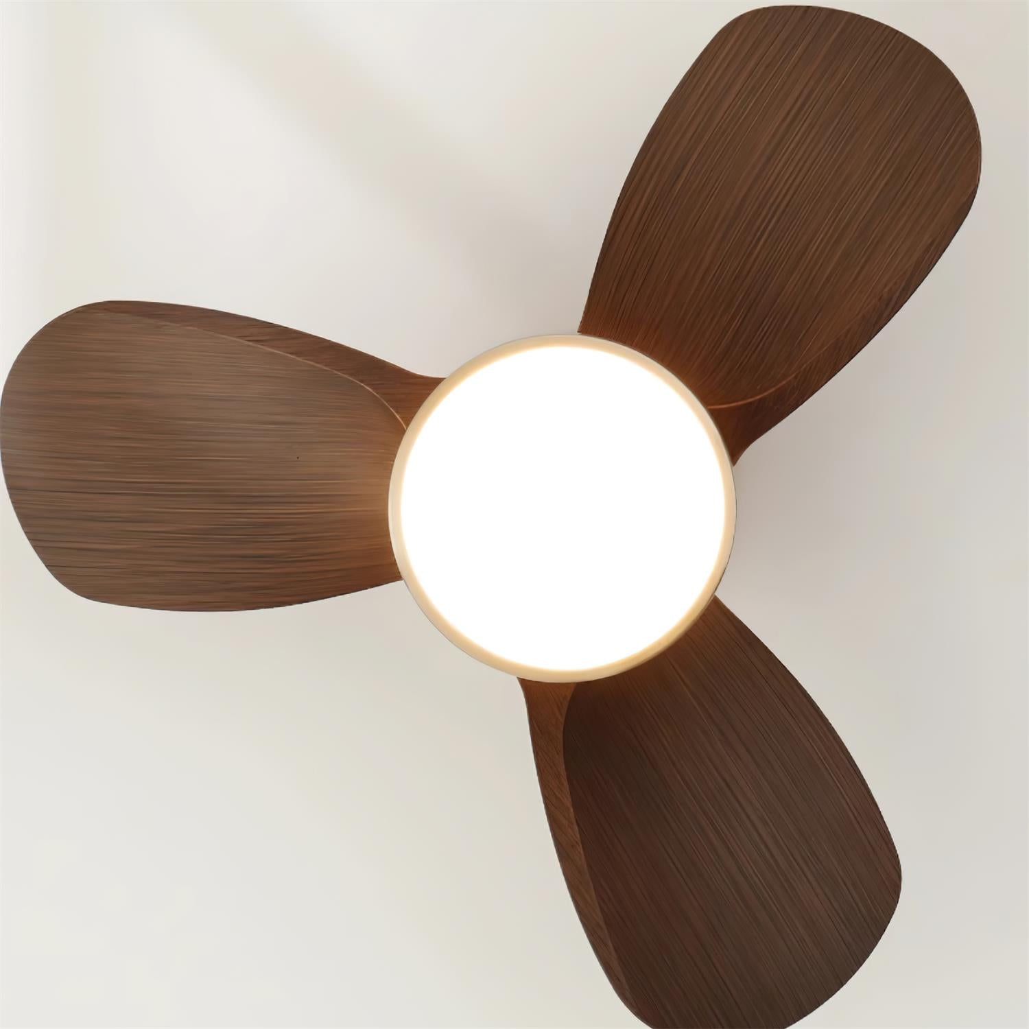 Ventra Deckenventilatorleuchte mit sichtbarem Motor aus reinem Kupfer