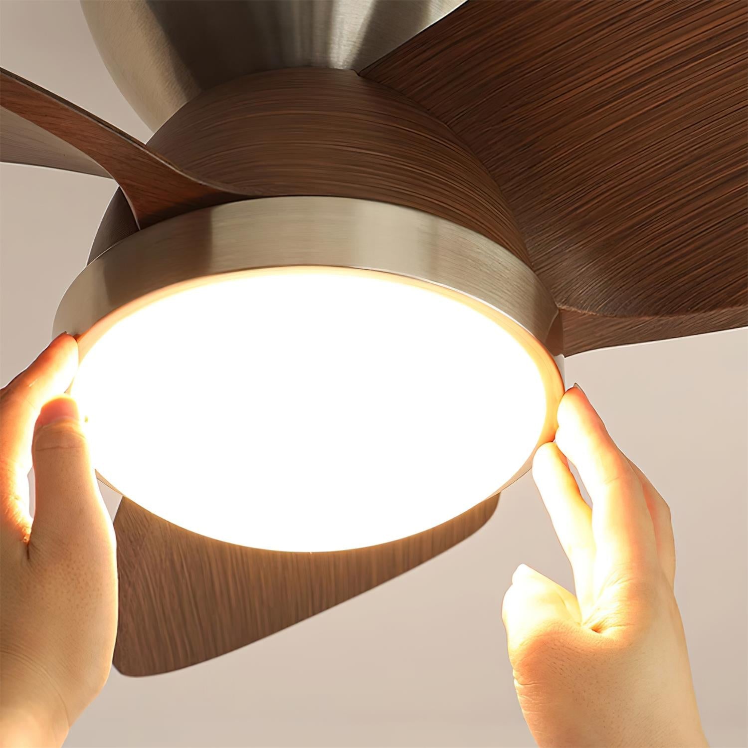 Ventra Deckenventilatorleuchte in einem zeitgenössischen Interieur
