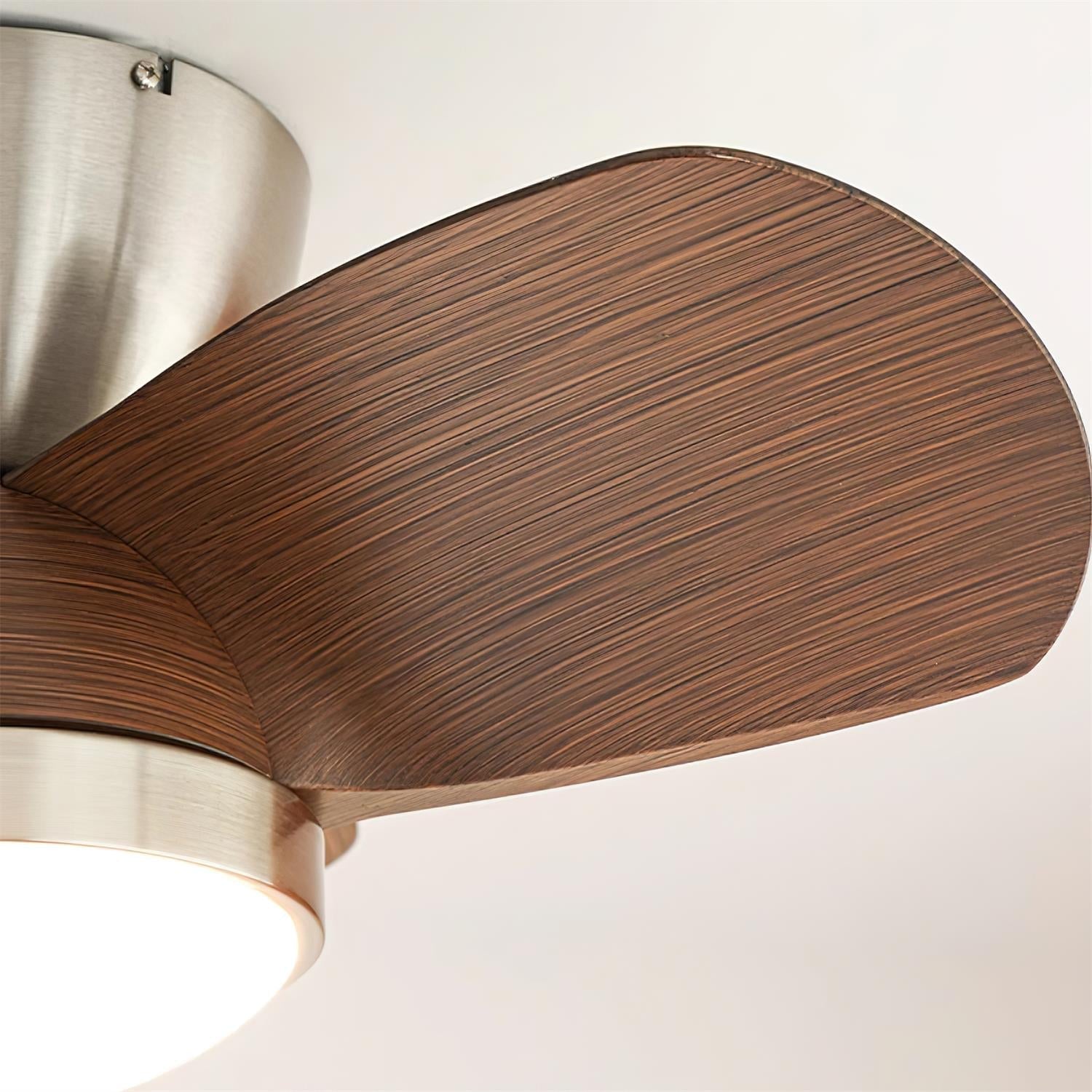 Ventra Deckenventilatorleuchte mit 6-stufiger Steuerungsfunktion