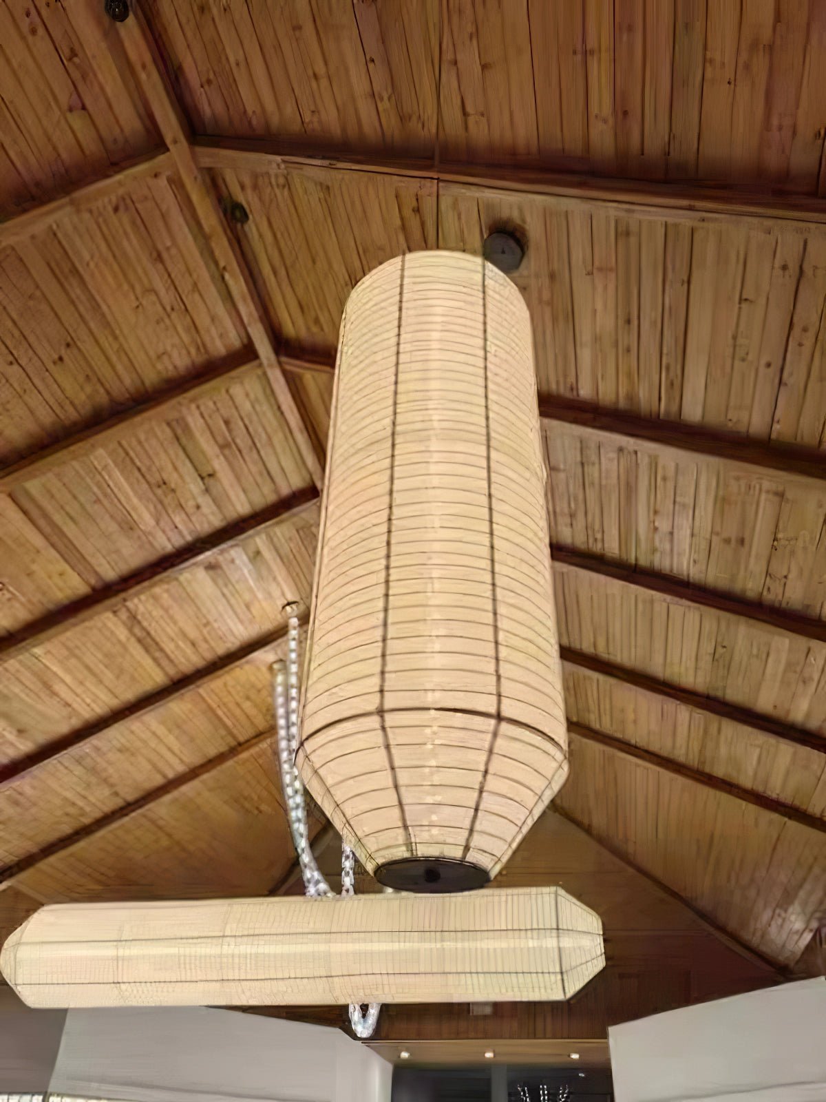 Citheis Modern Minimalist Natural Mulberry Silk Metal Pendant Lamp - Blowlighting