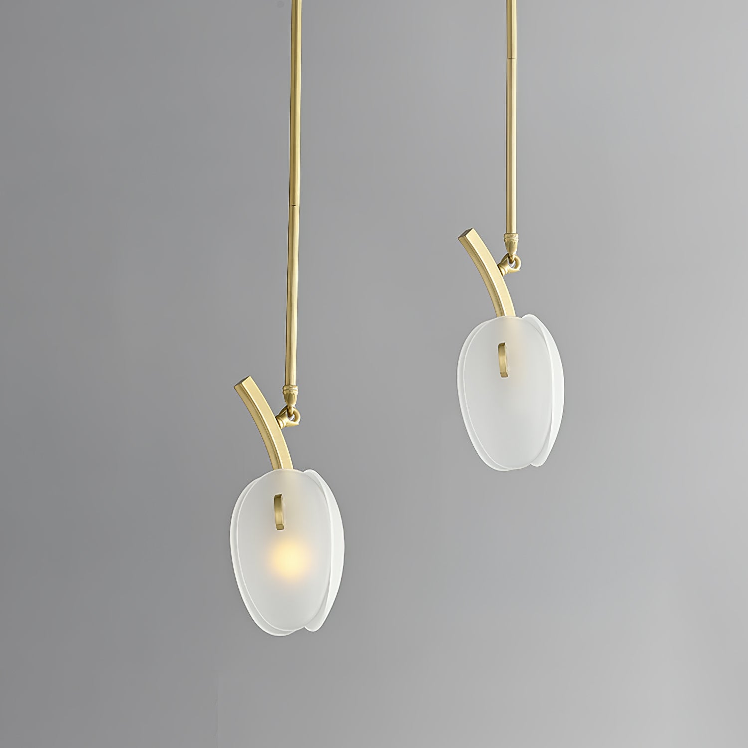 Blossom Zeitgenössisch Glas Kronleuchter-Letslighting