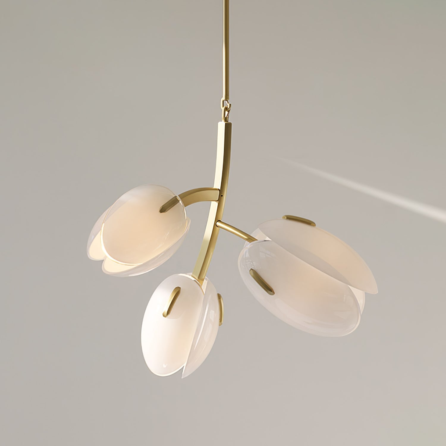Blossom Zeitgenössisch Glas Kronleuchter-Letslighting
