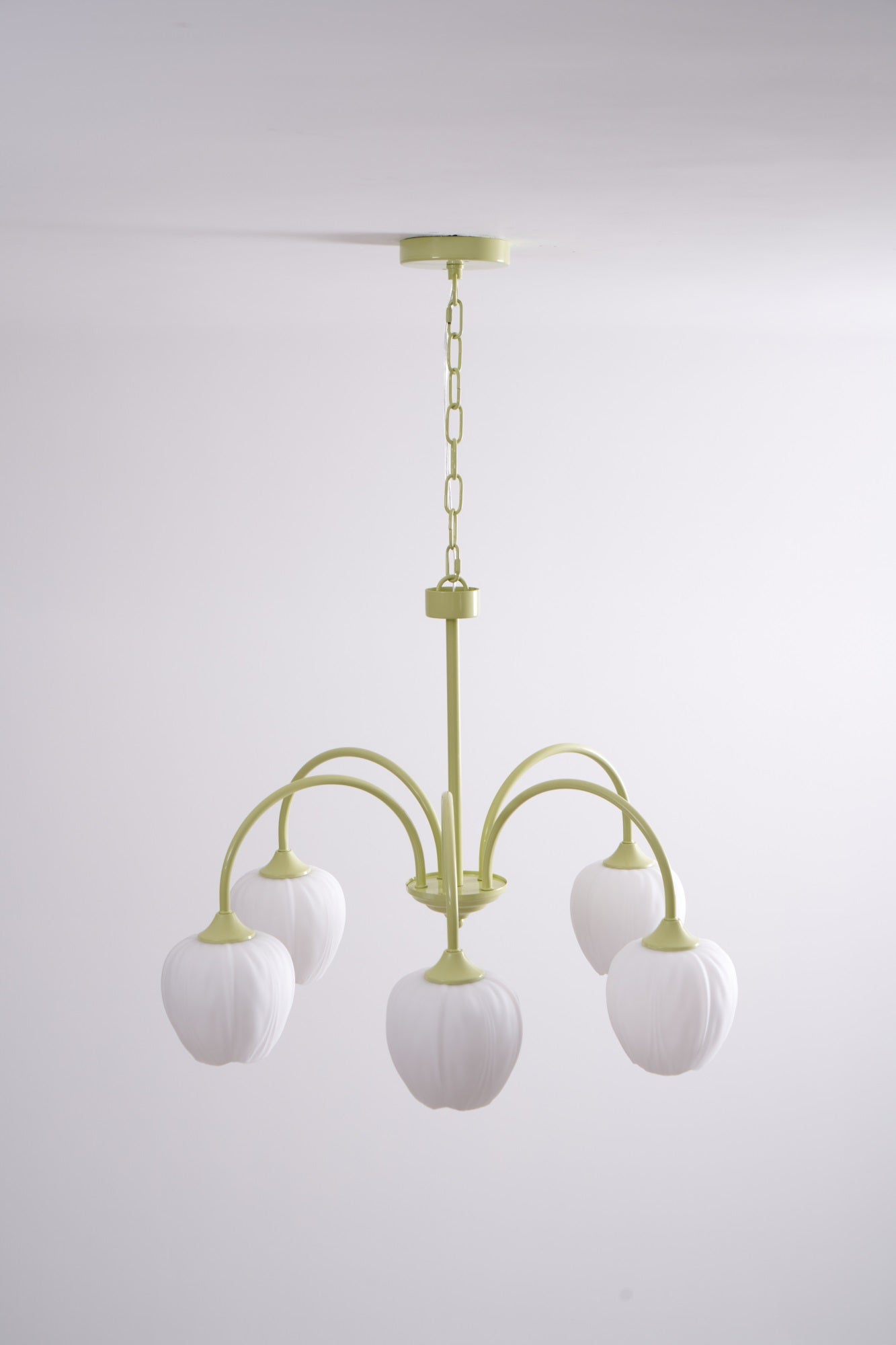 Lustra Kronleuchter Tulip Matcha Glas-Letslighting