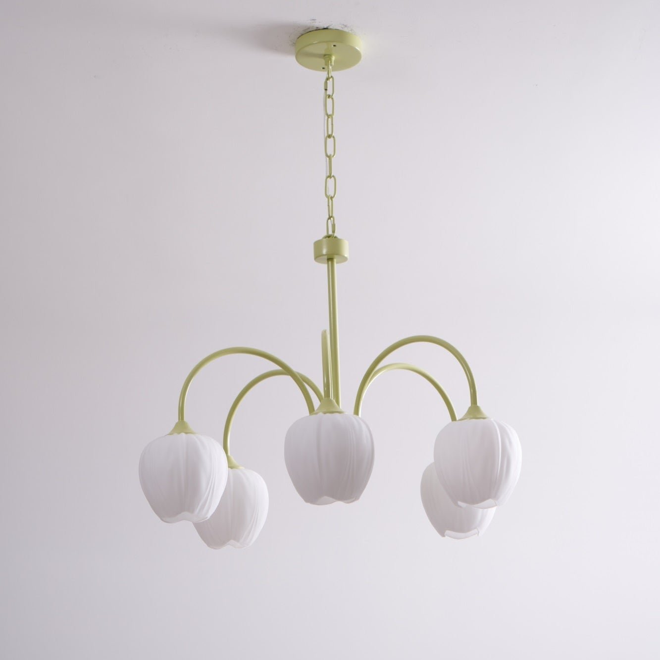 Lustra Kronleuchter Tulip Matcha Glas-Letslighting