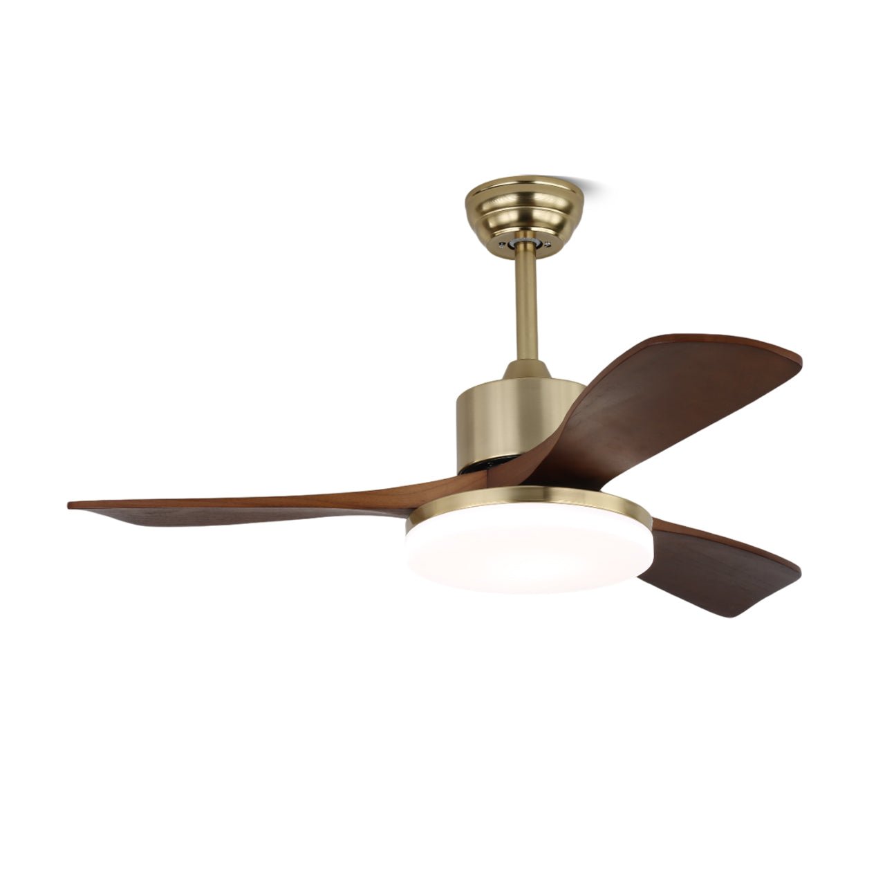 Selora Deckenventilatorleuchte aus Messing, die ihren Acrylschirm zeigt