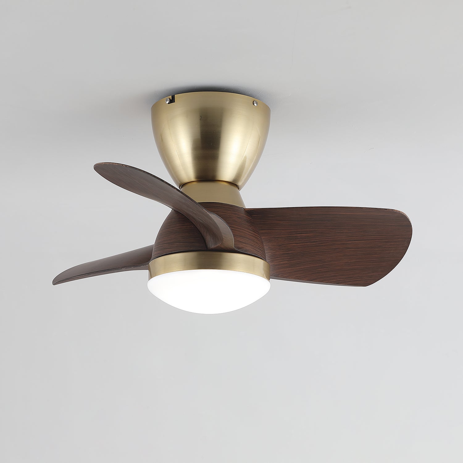 Elora Deckenventilatorleuchte, die ihre 6-Stufen-Regelung hervorhebt