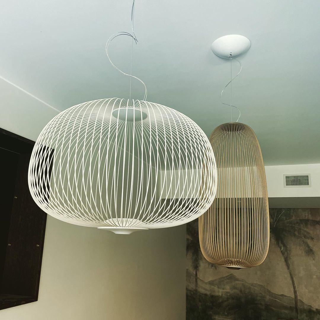 Aero Lightweight Spokes Cage Pendant Light - Letslighting