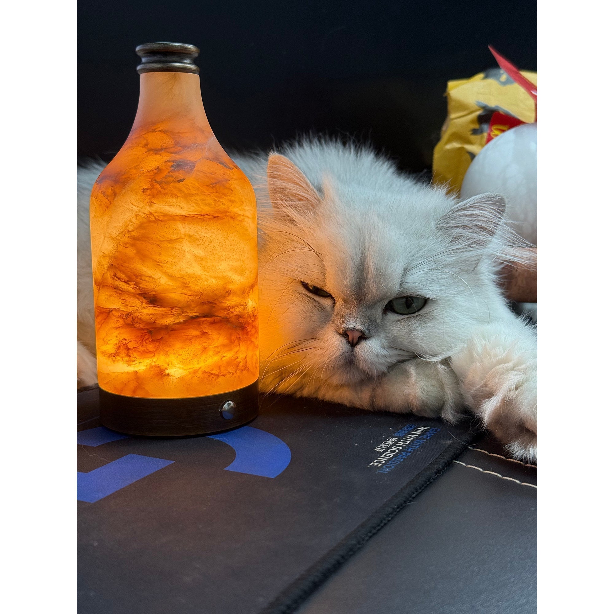 Wine Bottle Alabaster Table Lamp (Built-in Battery) - Letslighting