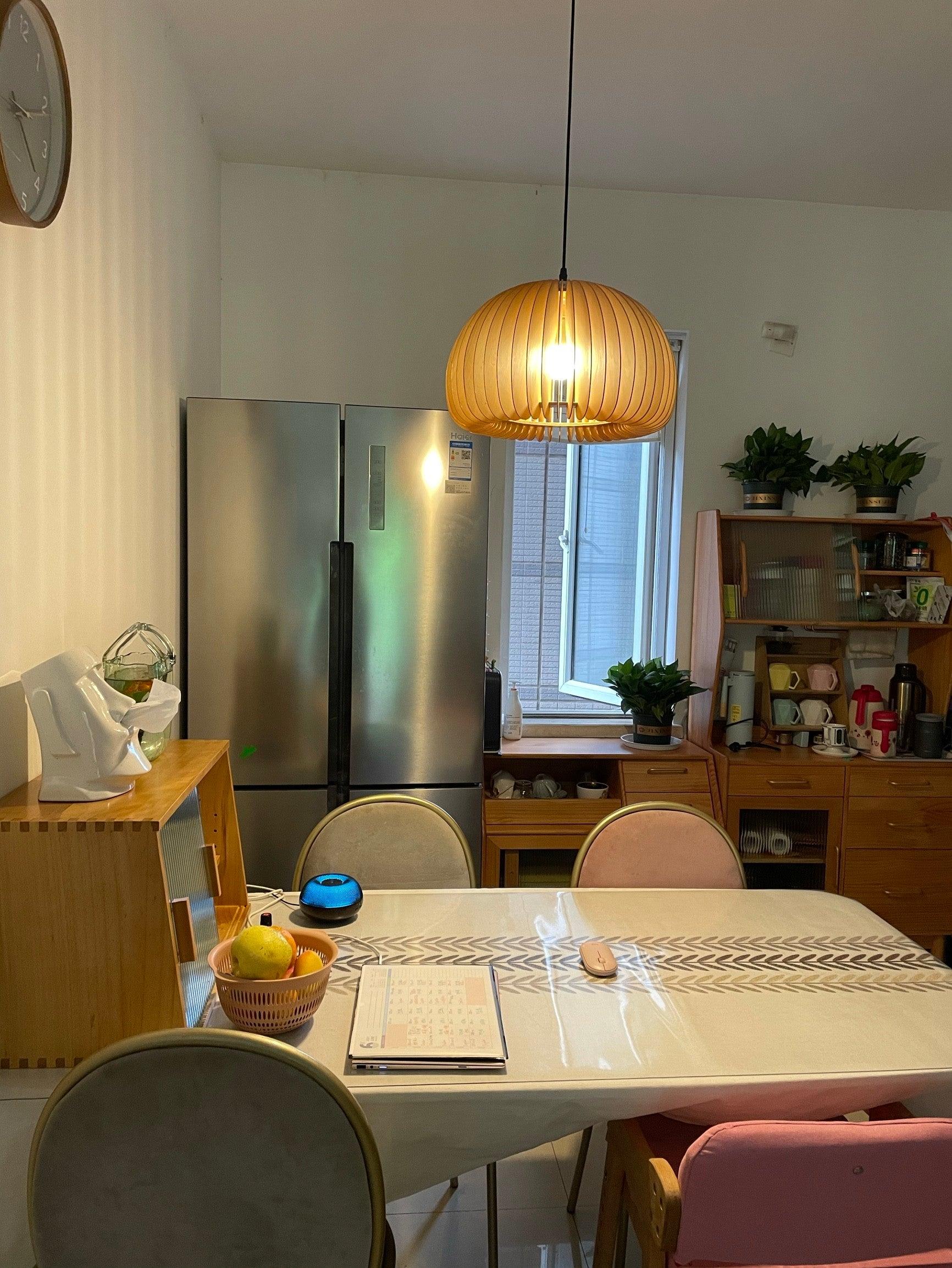 Solara Pendelleuchte Holz Kürbis Kuppel Nordisch-Letslighting