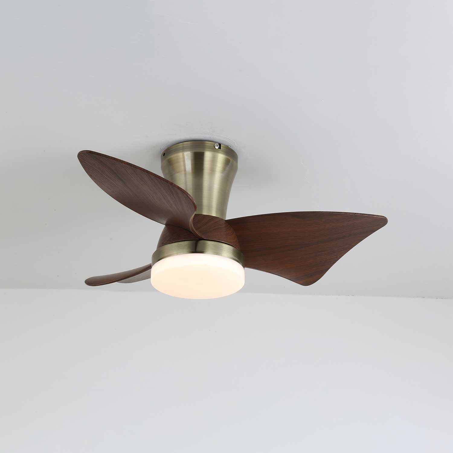 Schräge Ansicht des Caspian Modernen Deckenventilators mit Licht.