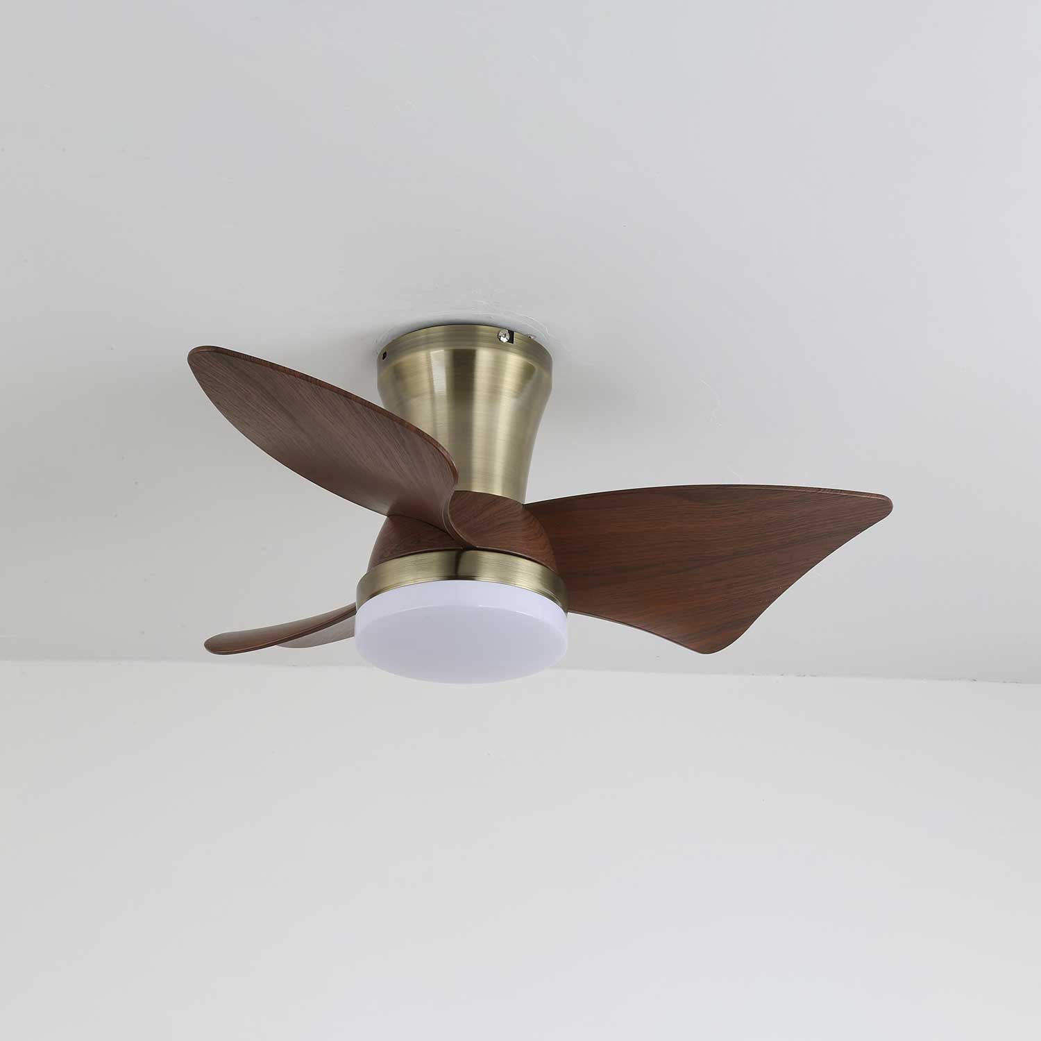 Caspian Ventilator mit Licht und seiner Handfernbedienung.